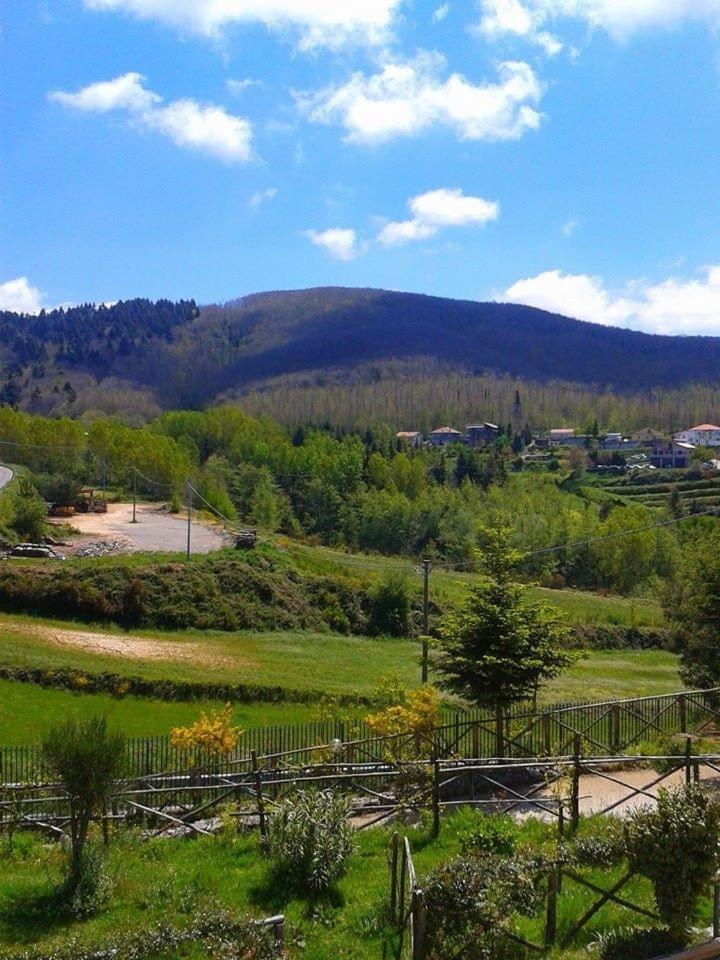 B&B Passo Del Falco Sorianello Eksteriør bilde