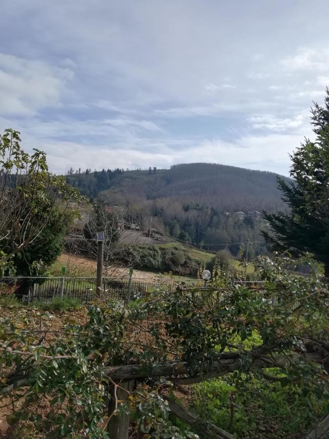 B&B Passo Del Falco Sorianello Eksteriør bilde
