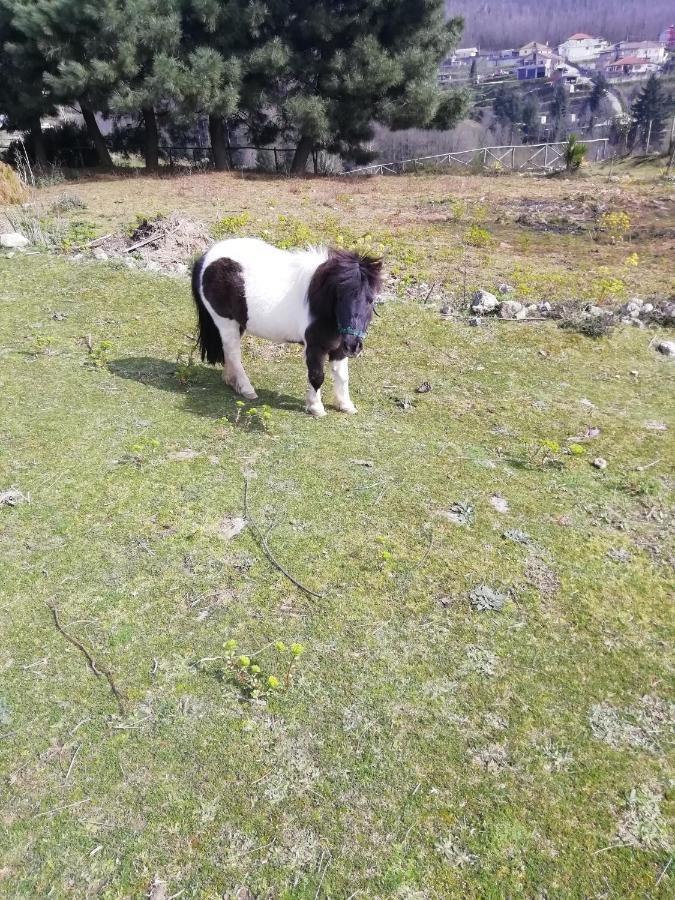 B&B Passo Del Falco Sorianello Eksteriør bilde